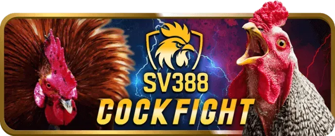 Bí Quyết Chinh Phục Máy Đánh Bạc hf888 game